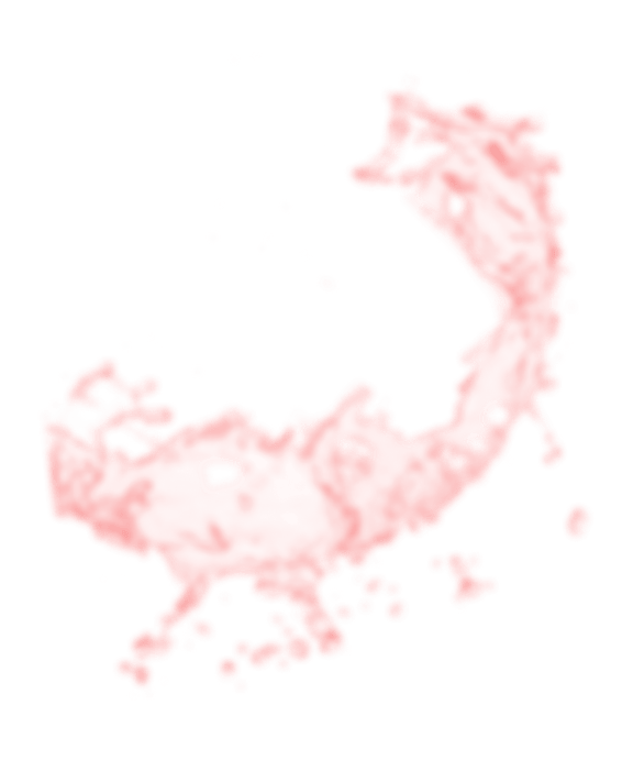 SPLASH5_red-min