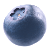 blueberry1-min
