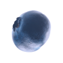 blueberry2-min